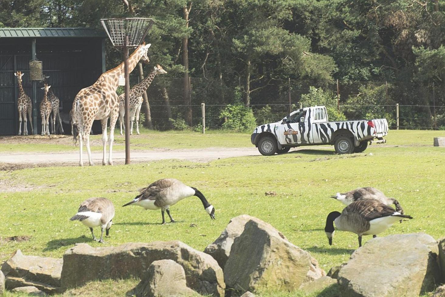 Camping Marvilla Parks Kaatsheuvel - Roan Kültér fotó